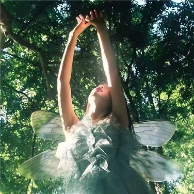 马克龙的爱丽舍之路