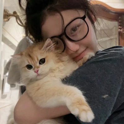 金装律师第八季